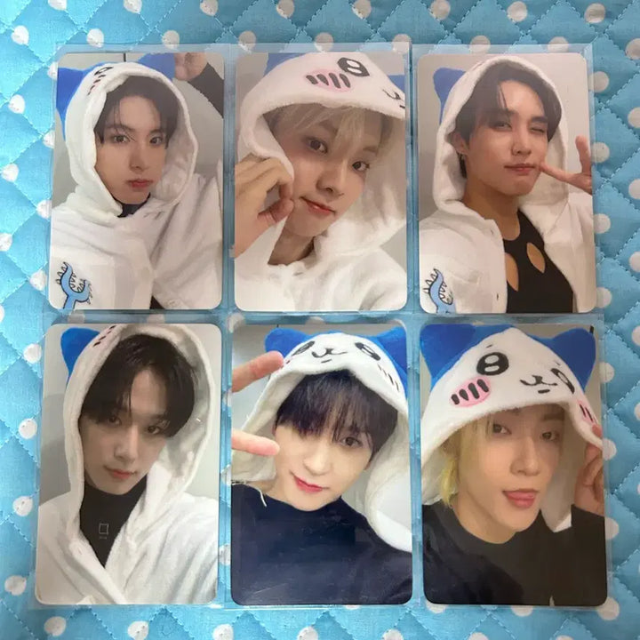 [BUNJANG] The Boyz Dohwa Seon Hello Live Bundle Set Photocard / 더보이즈 도화선 헬로라이브