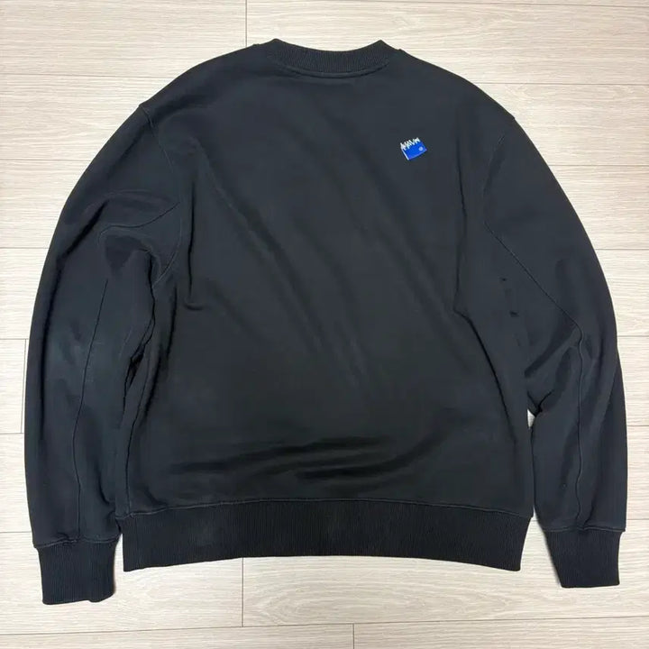 [BUNJANG] Ader Error Significant Sweatshirt S / 아더에러 시그니피컨트 맨투맨 s