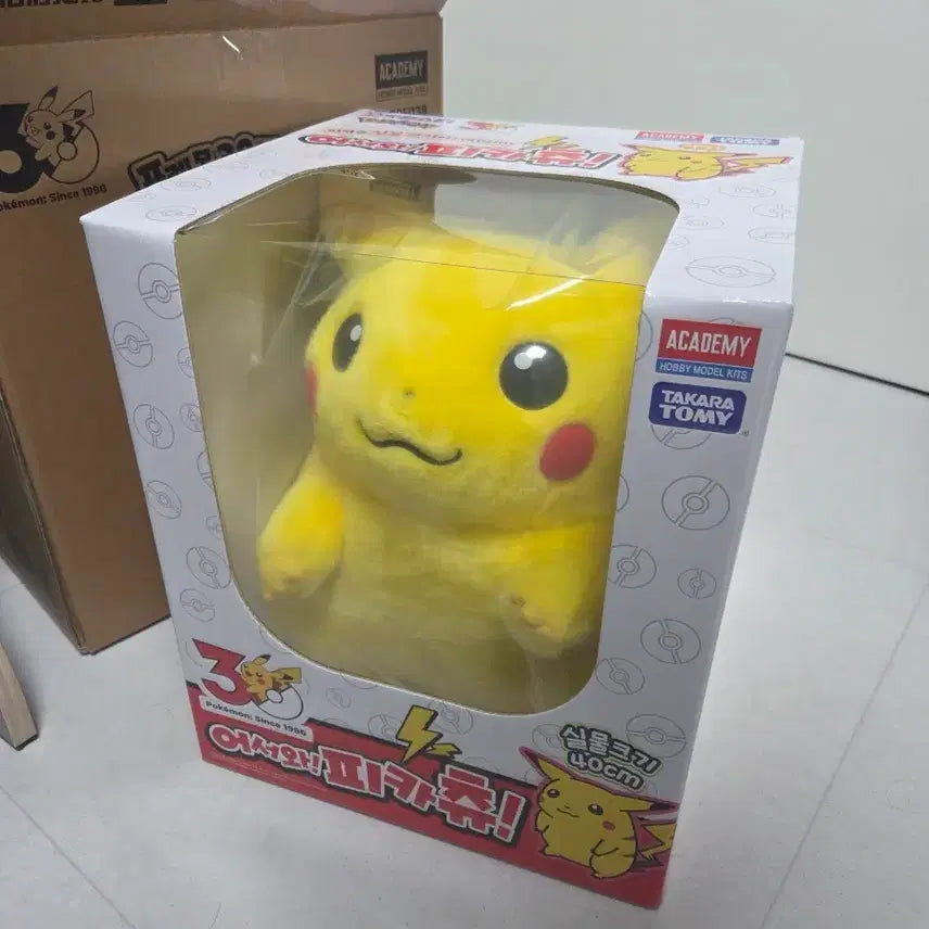 [BUNJANG] 30th Anniversary Pikachu Plush Doll (Sealed) / 30주년 어서와 피카츄 미개봉