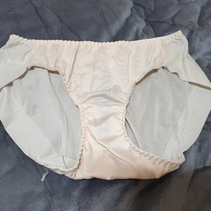 [BUNJANG] Nude Tone Hemline Briefs (M) / (중고상품)햄라인 팬티