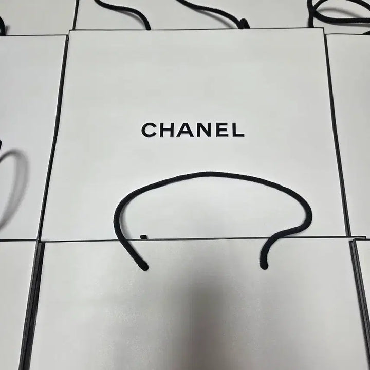 [BUNJANG] Chanel Shopping Bags Bundle Set (18 pcs) / 샤넬 쇼핑백 (총 17개) (일괄구매 우선)