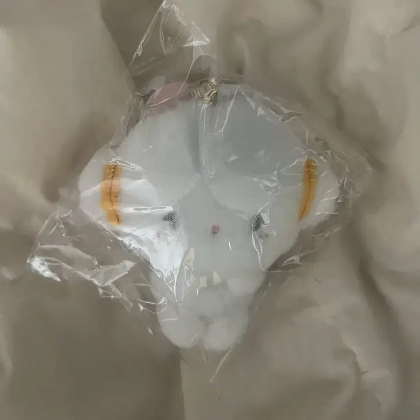 [BUNJANG] CorgiMung Mascot Plush / 코기뮹 마스코트 인형