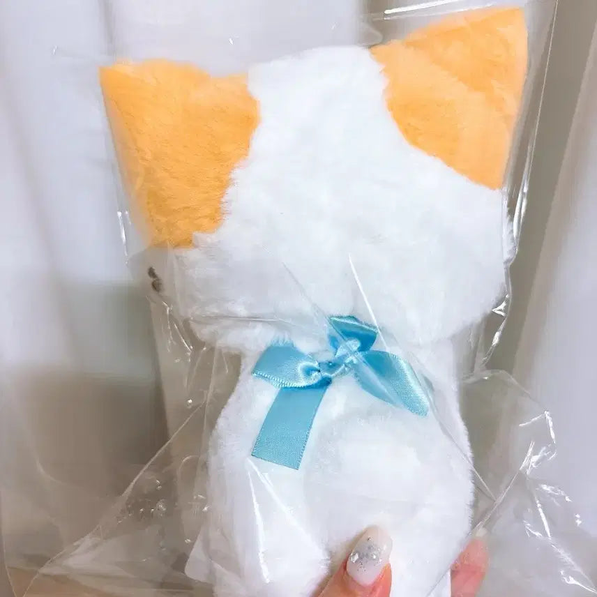 [BUNJANG] Sanrio Lafu Lafu Marshmallow Fuwa Fuwa Nyan-ko Plush Doll / 산리오)라후라후 마슈마로 후와후와 냥코 인형(오늘만)