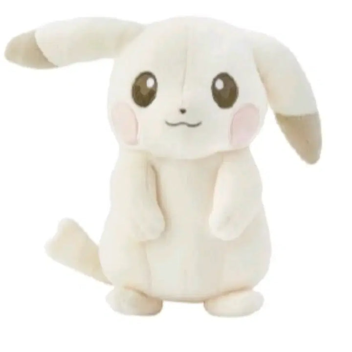 [BUNJANG] Pokemon Metamon Plush / 포켓몬스터 메타몽 팝업, 창백카츄 창백피카츄 봉제 인형