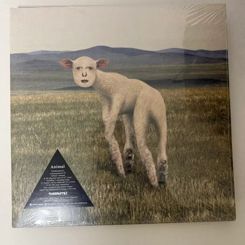 [BUNJANG] Thornapple Animal LP (Sealed) / 쏜애플 동물 LP 미개봉