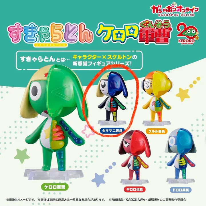 [BUNJANG] Keroro Skeleton Gacha Tamama Figure / (미개봉)케로로 스켈레톤 가챠 타마마