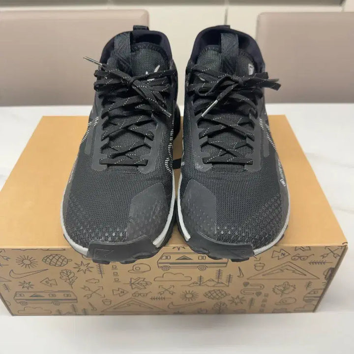 [BUNJANG] Nike Pegasus Trail Gore-Tex Running Shoes / 나이키 페가수스 트레일 고어텍스 팝니다.