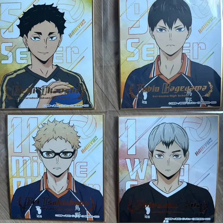 [BUNJANG] Haikyuu!! Shikishi Bundle Set / 하이큐 색지 일괄