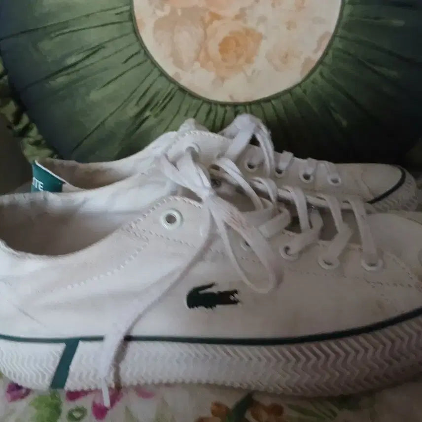 [BUNJANG] Lacoste White Canvas Sneakers US 5 / 라코스테 흰색 스니커즈 캔버스화 USA5.225