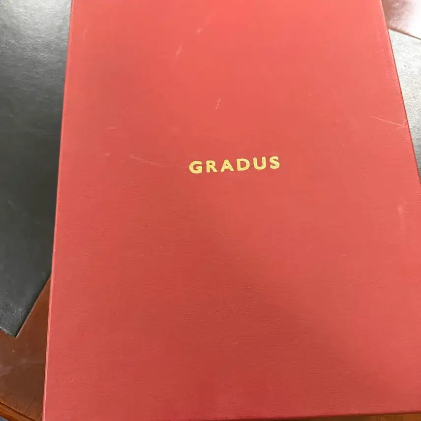 [BUNJANG] Graderus Boots 02 / 그라더스 부츠02 팝니다.