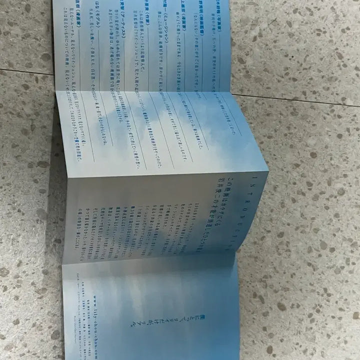 [BUNJANG] All About Lily Chou-Chou Japanese Film Pamphlet / 릴리 슈슈의 모든것 일본 영화 팜플렛 이와이 슌지 릴리슈슈