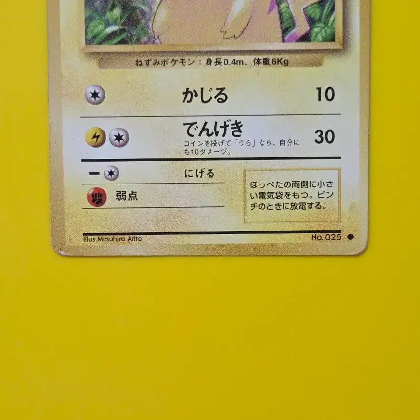 [BUNJANG] Pokemon Card 1996 Large Pikachu Japanese / 포켓몬카드 1996 큰 피카츄 일판 일본판9