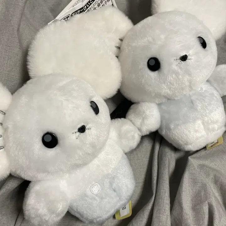 [BUNJANG] Pokemon Sentret Plush Toy / 포켓몬 두리쥐 센터 인형