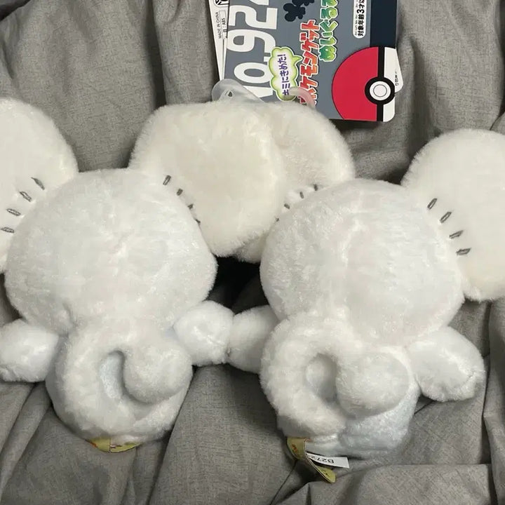 [BUNJANG] Pokemon Sentret Plush Toy / 포켓몬 두리쥐 센터 인형