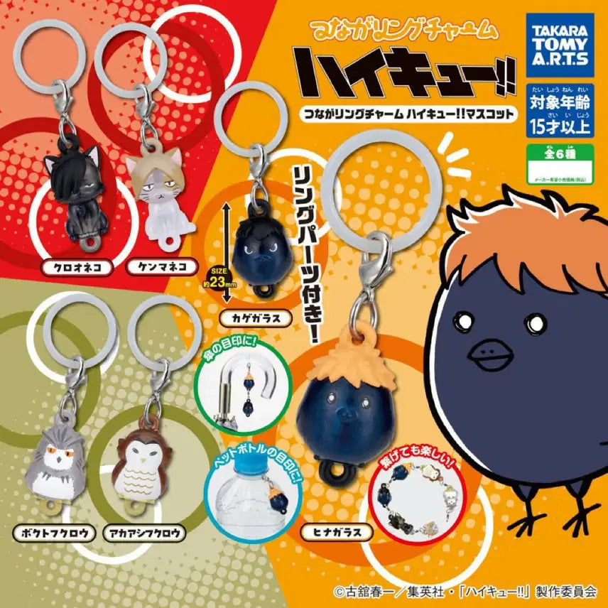 [BUNJANG] Haikyuu!! Animal Mascots: Bokuto Koutarou / 하이큐 동물 마스코트 메지루시 판매