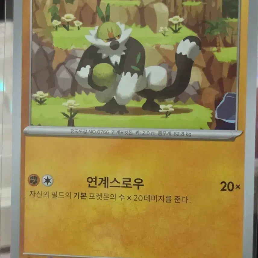 [BUNJANG] Pokemon Card Nendorsungyi / 포켓몬 카드 내던숭이