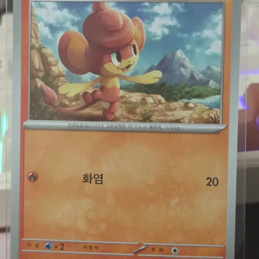 [BUNJANG] Pokemon Card Baof / 포켓몬카드 바오프