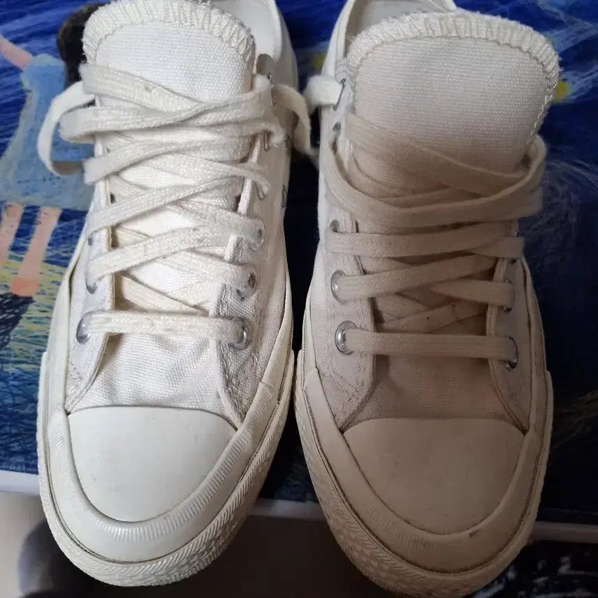 [BUNJANG] Comme des Garçons Canvas Low-Top Sneakers / 꼼데가르송 캔버스로우탑 스니커즈