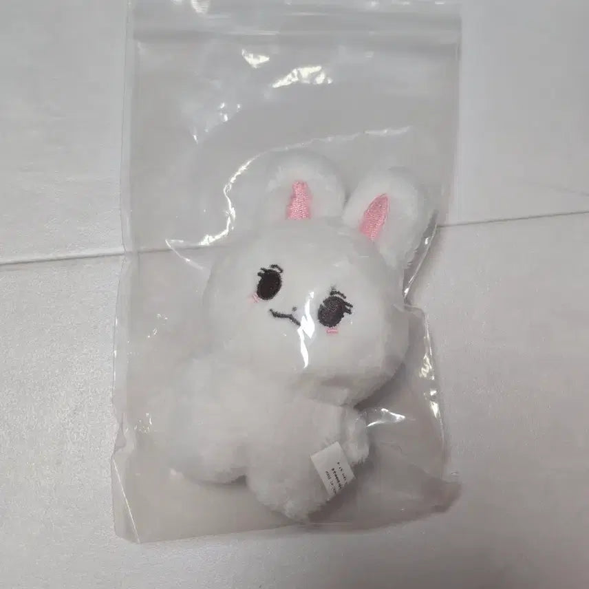 [BUNJANG] Cha Eun Woo Rabbit Cha Doll / 차은우 인형 래빗차