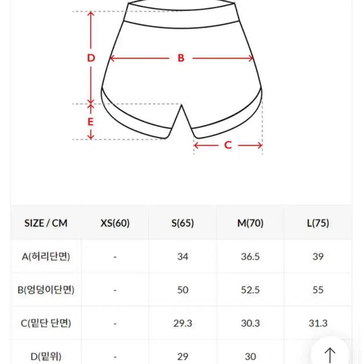 [BUNJANG] Spider Fluorescent Training Bottoms / 스파이더 형광 트레이닝복 하의