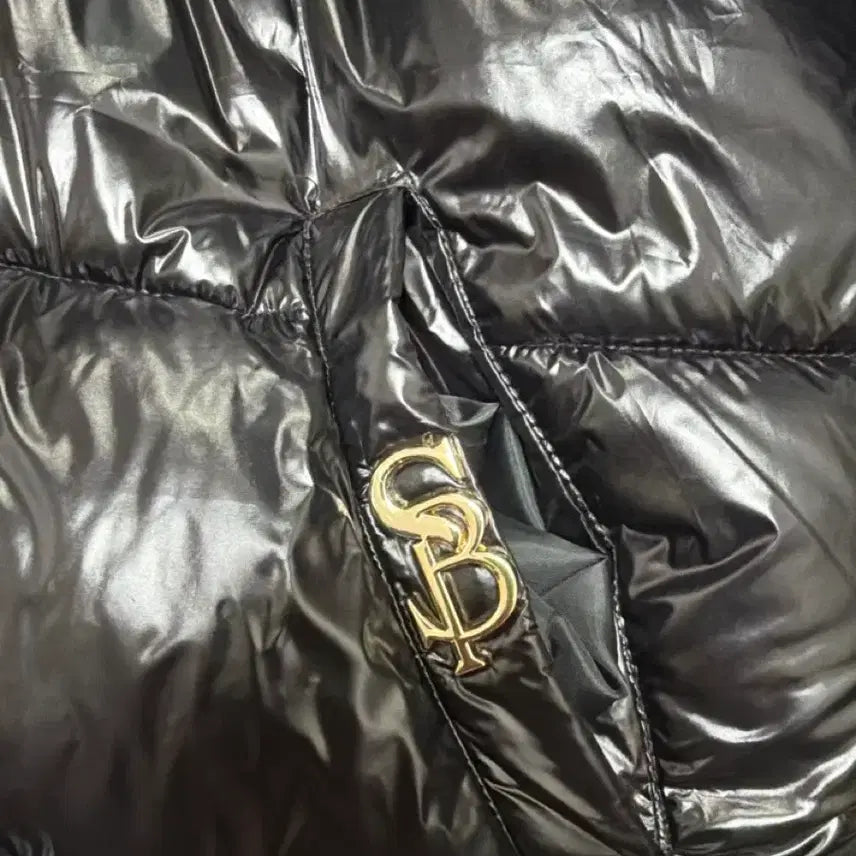 [BUNJANG] Sunbeam Glossy Padded Jacket / 썬빔 유광패딩