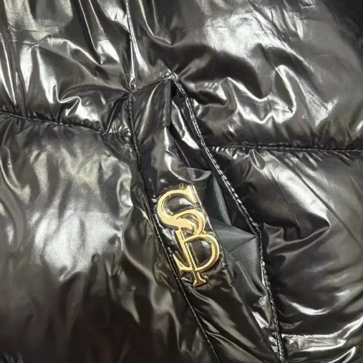 [BUNJANG] Sunbeam Glossy Padded Jacket / 썬빔 유광패딩