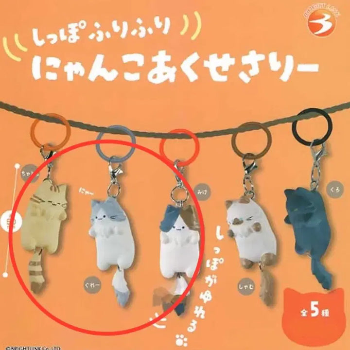 [BUNJANG] Cat Wagging Tail Mezushi Set 1 Chatora Gray Mike / 급처)꼬리 살랑살랑 고양이 메지루시 1탄 챠토라 그레이 미케 일괄