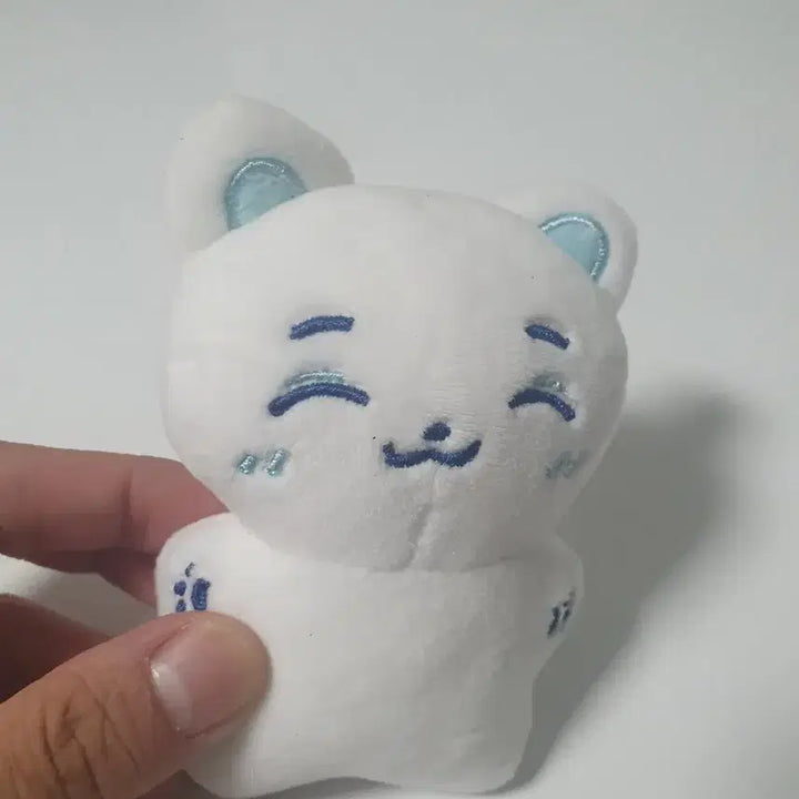 [BUNJANG] fromis_9 Baek Ji-heon Cat Plush Doll / 택포) 프로미스나인 백지헌냥이 인형