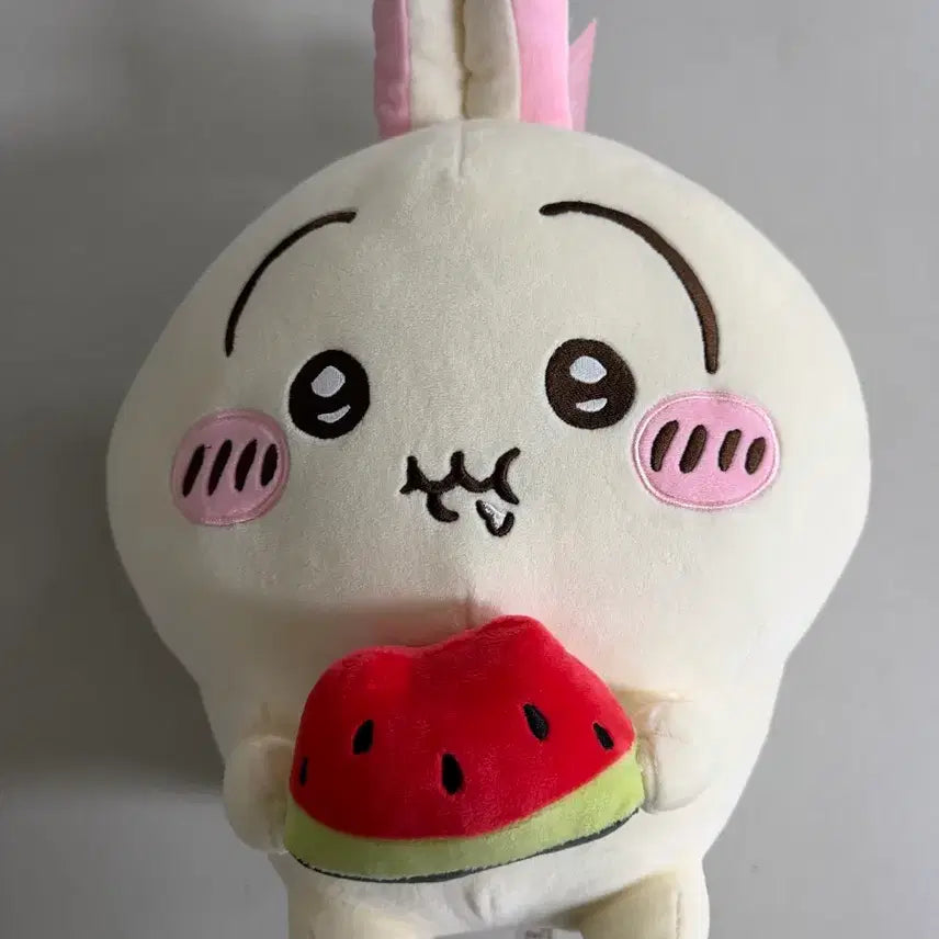 [SOLD OUT] 치이카와 우사기 수박