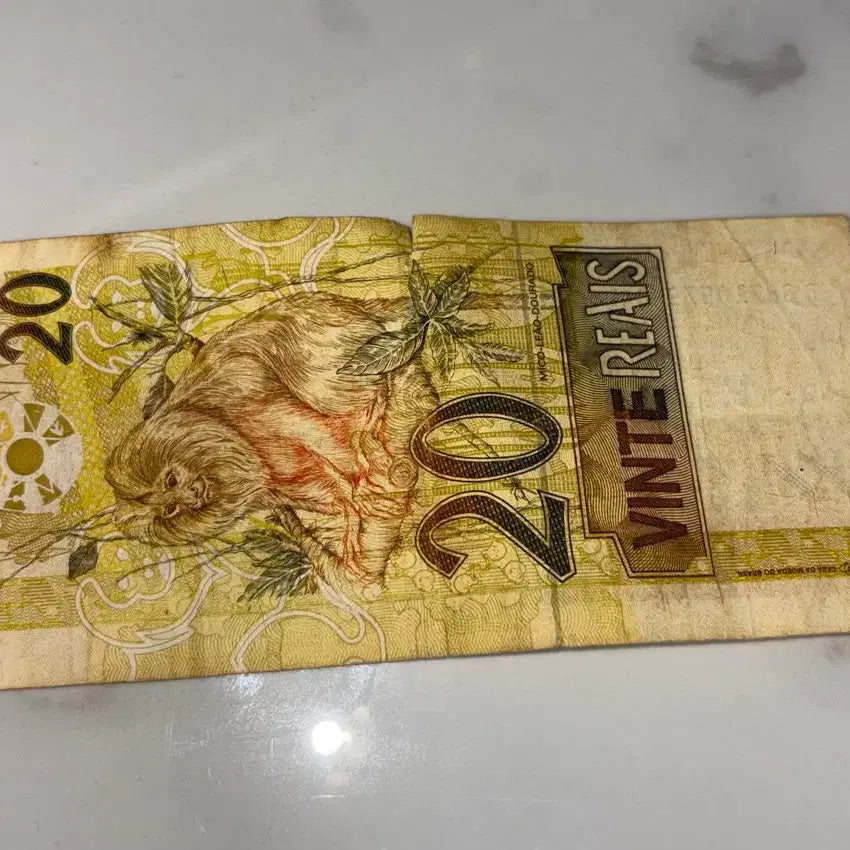 [BUNJANG] Brazil 20 Reais Banknote / 브라질 20 헤알 지폐