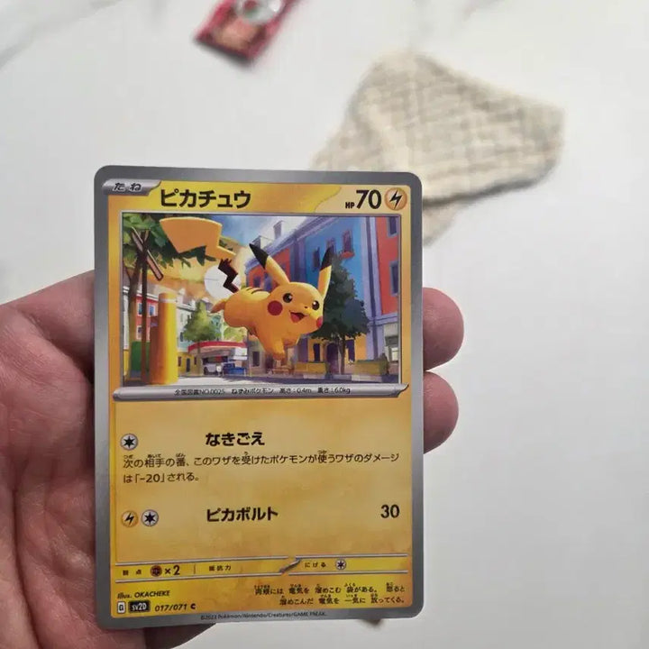 [SOLD OUT] (일본판) 포켓몬카드 피카츄 카드 2장 일괄 세트