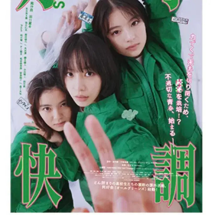 [BUNJANG] Allgreen Original Poster / 올그린스 오리지널 포스터 6일