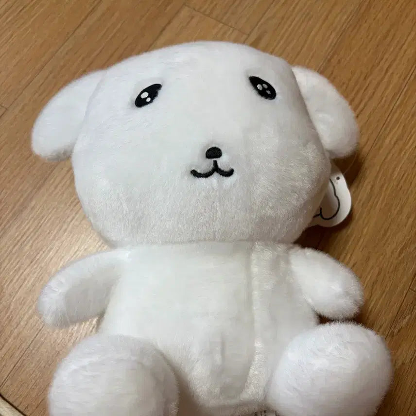 [BUNJANG] Ganadi Medium Plush Doll / 새상품) 나안아 가나디 중형 인형