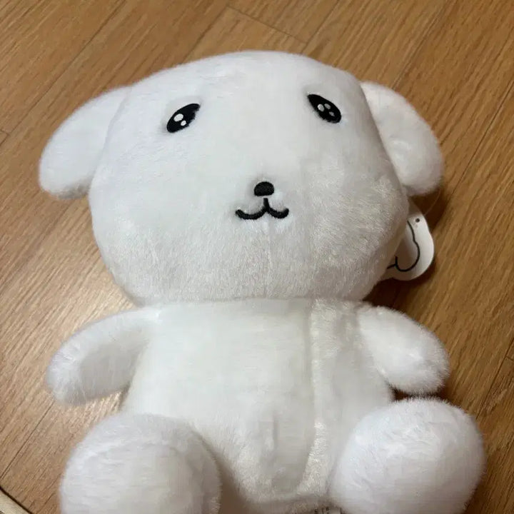 [BUNJANG] Ganadi Medium Plush Doll / 새상품) 나안아 가나디 중형 인형