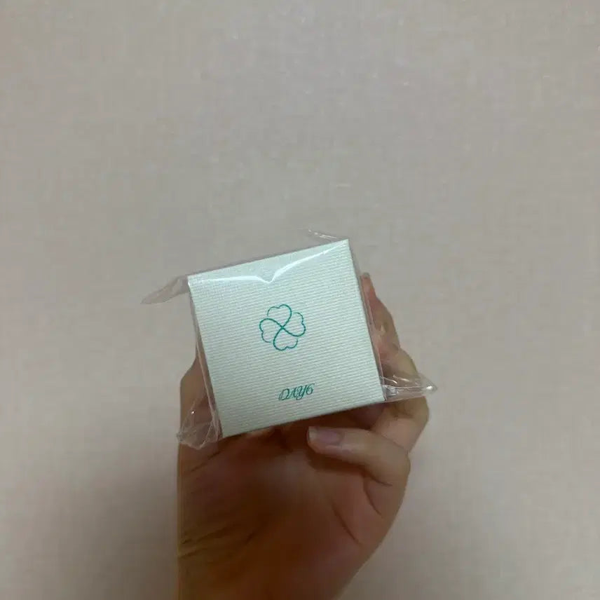[BUNJANG] DAY6 My Day Ring / 데이식스 마데링 반지
