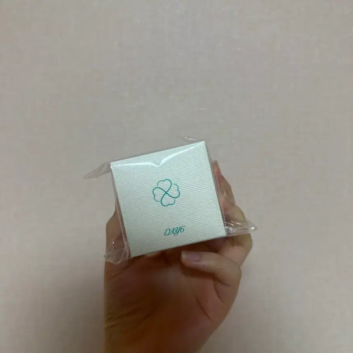 [BUNJANG] DAY6 My Day Ring / 데이식스 마데링 반지