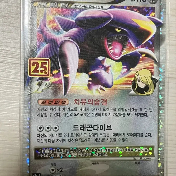 [BUNJANG] Pokemon 25th Anniversary Trading Cards / 포켓몬카드25주년