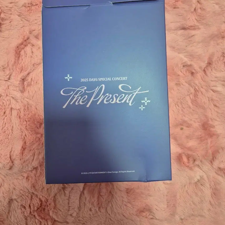 [BUNJANG] DAY6 The Present Concert Goods / DAY6 The Present 콘서트 굿즈