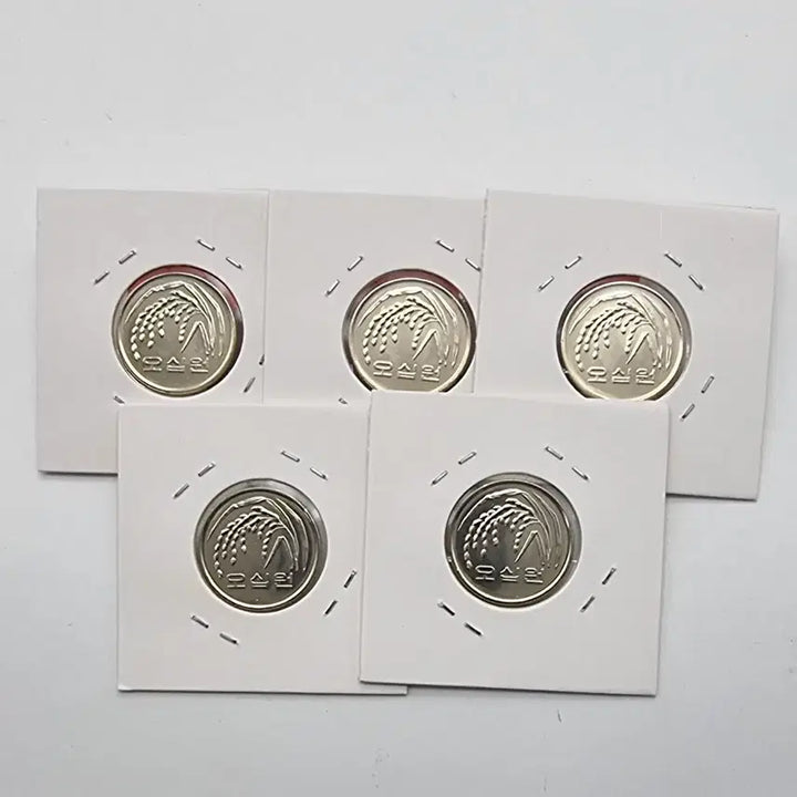 [BUNJANG] 2007 Unused 50 Won Coins (5 Pieces) / 2007년 미사용 50주화 5개