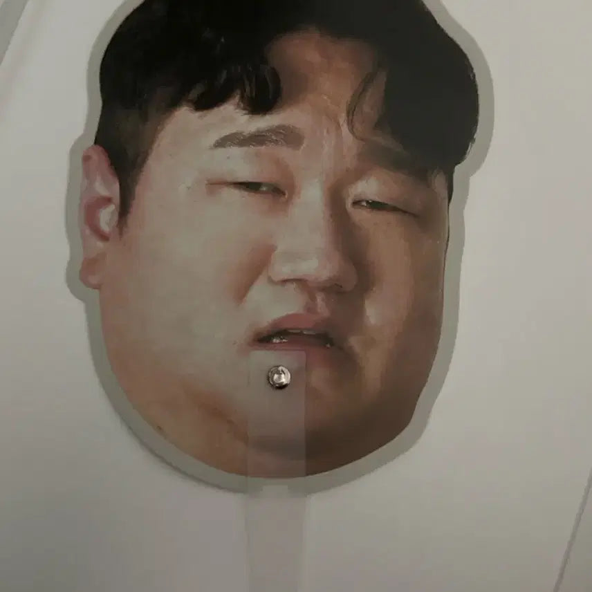 [BUNJANG] Na Seon-wook Fan / 나선욱 부채