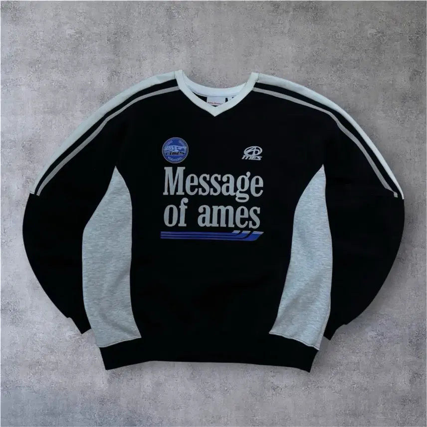 [BUNJANG] AMES WORLDWIDE Sweatshirt / AMES-WORLDWIDE 스웻셔츠