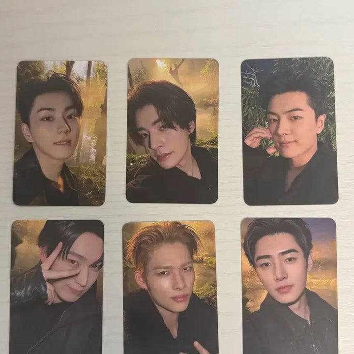 [SOLD OUT] [BUNJANG] ENHYPEN ENNICHIZONE Blood Sangha Concert Photocard / 엔하이픈 엔진존 블러드사가 콘서트 포카 세트