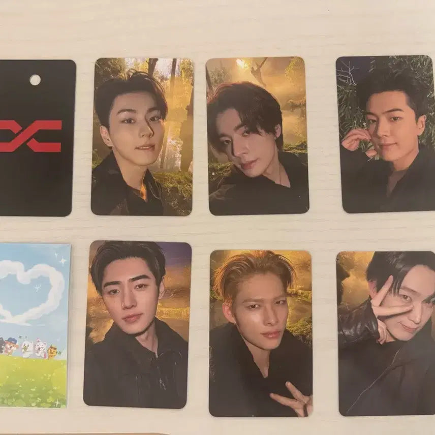[SOLD OUT] [BUNJANG] ENHYPEN ENNICHIZONE Blood Sangha Concert Photocard / 엔하이픈 엔진존 블러드사가 콘서트 포카 세트