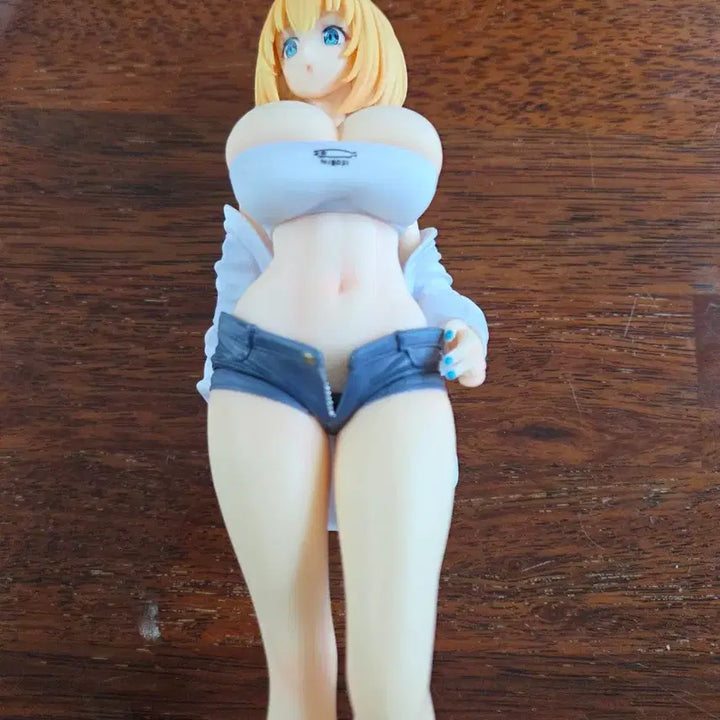 [BUNJANG] Beautiful Girl Character Figure / 미소녀 캐릭터 피규어