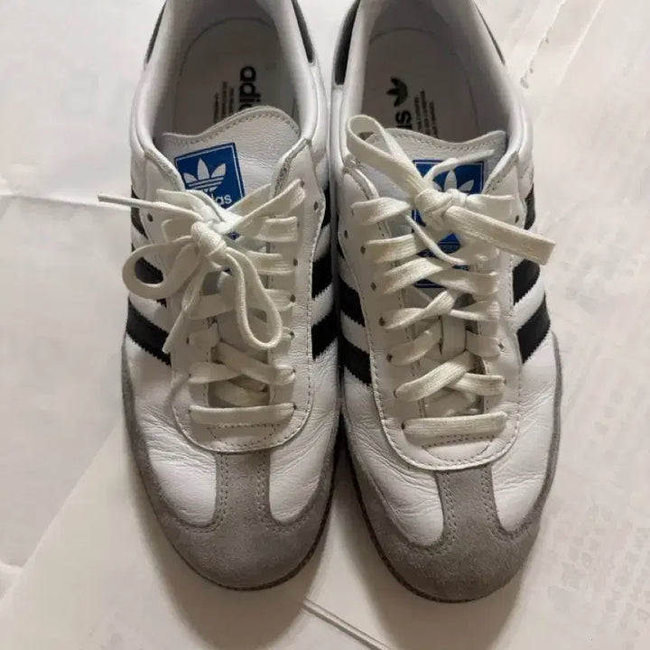 [BUNJANG] Adidas Samba OG Cloud White / 아디다스 삼바 OG 클라우드 화이트