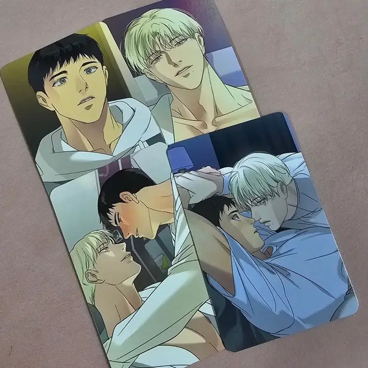 [BUNJANG] Backlight Photocard 4 Types Bundle Set / 백라이트 포카 컬포 4종 일괄
