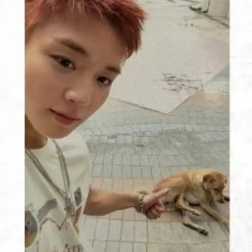 [BUNJANG] Park Jihoon Reflect Photocard / 박지훈 리플렉트 팝업 포카