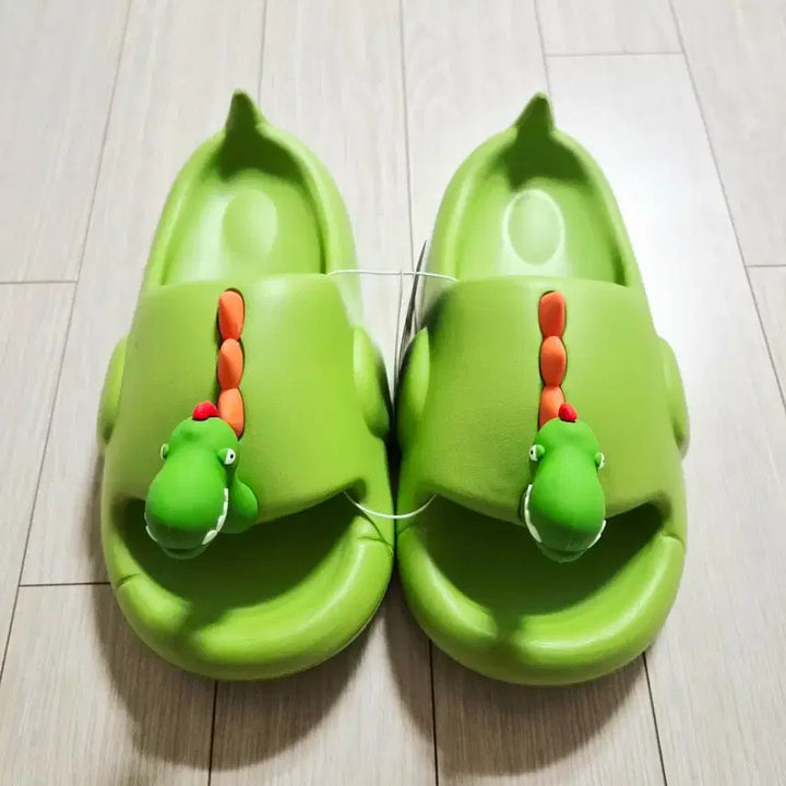 [BUNJANG] Dinosaur Design Slippers Green 250mm / 공룡 디자인 실내화 슬리퍼 그린 250mm