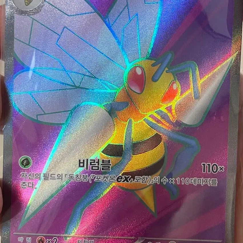 [BUNJANG] Pokémon Card Beedrill SR / 포켓몬 카드 독침붕 SR