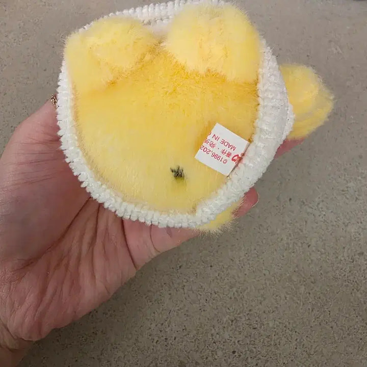 [BUNJANG] Sanrio Pompompurin Bath Plush / 목욕 폼폼푸린 폼푸